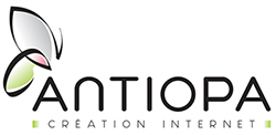 Nantes création site internet commerces - artisans - collectivités ANTIOPA